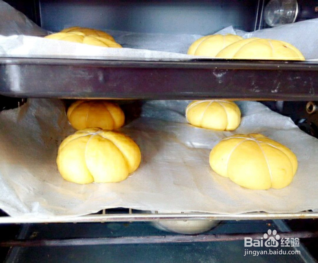 奶酪南瓜包的做法