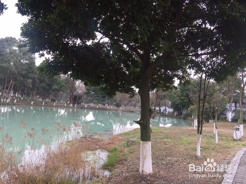 成都市郫都区安德川菜小镇