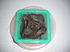 营养虾香浓郁面——豆腐粒鲜虾汤面