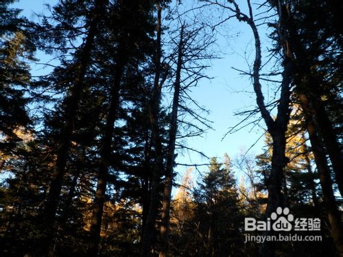 长白山北坡旅游攻略