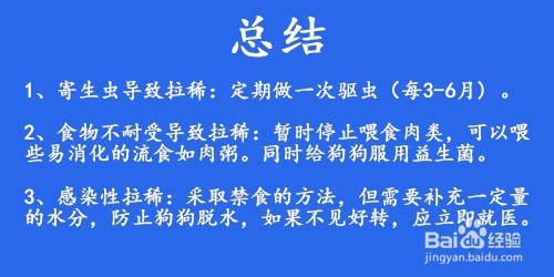 狗狗拉稀怎么办
