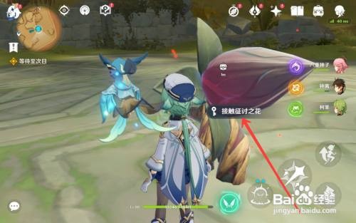 原神无相之草攻打攻略