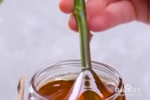 如何在家种植玫瑰花