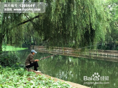 月入5000如何理财