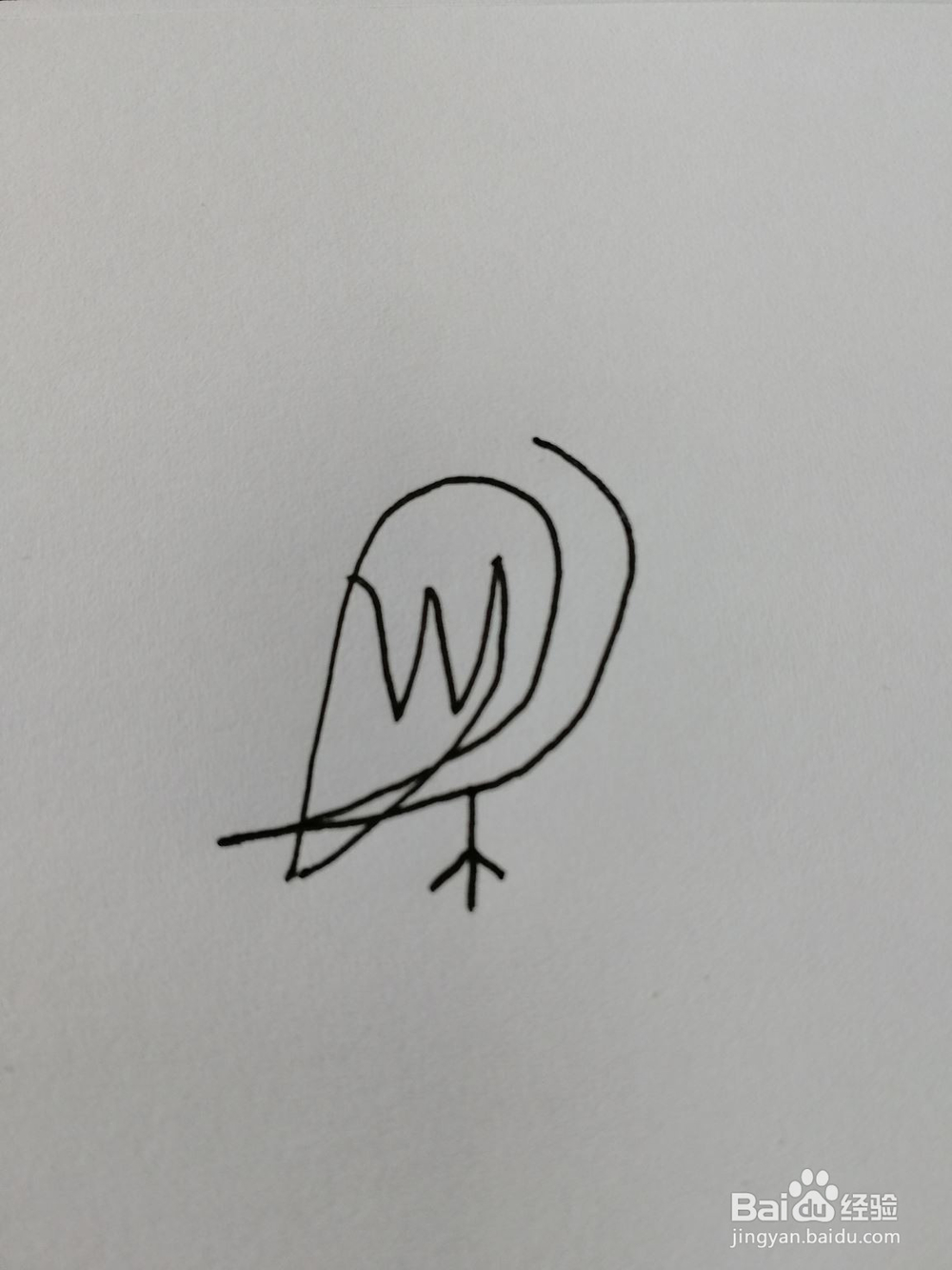 简笔画(1)——一笔画小鸟