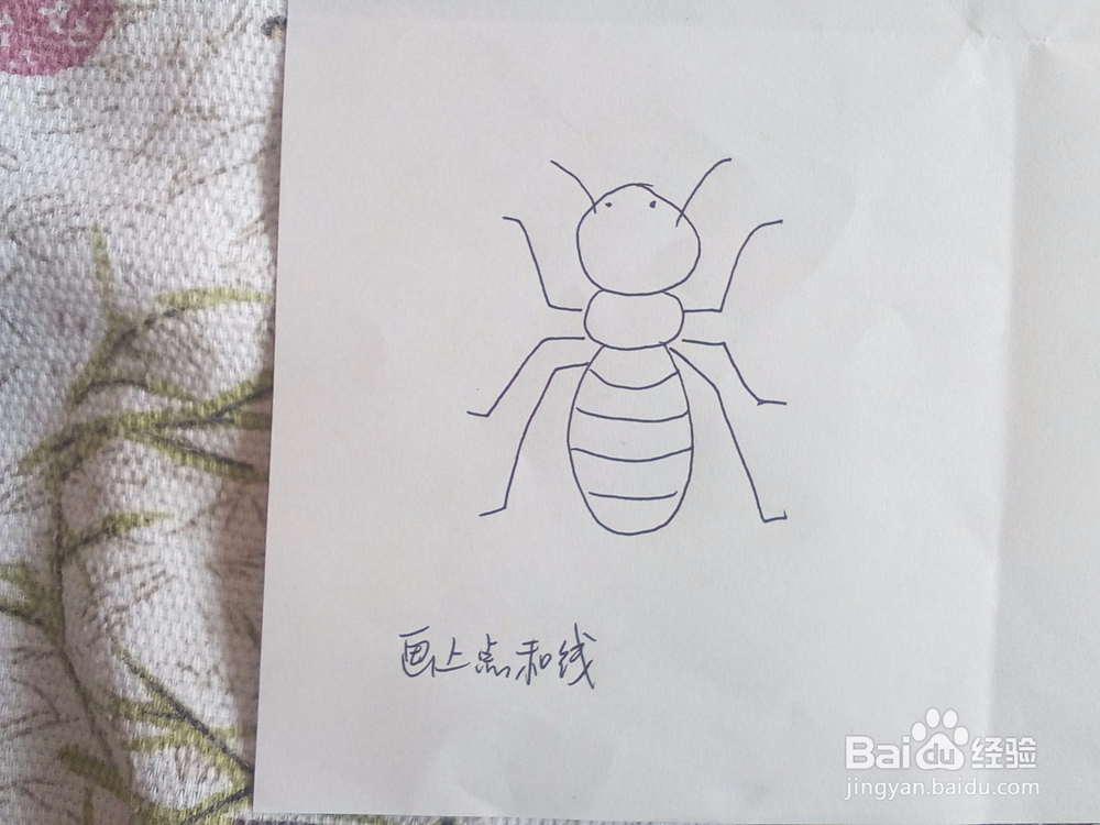 一步一步学简笔画116