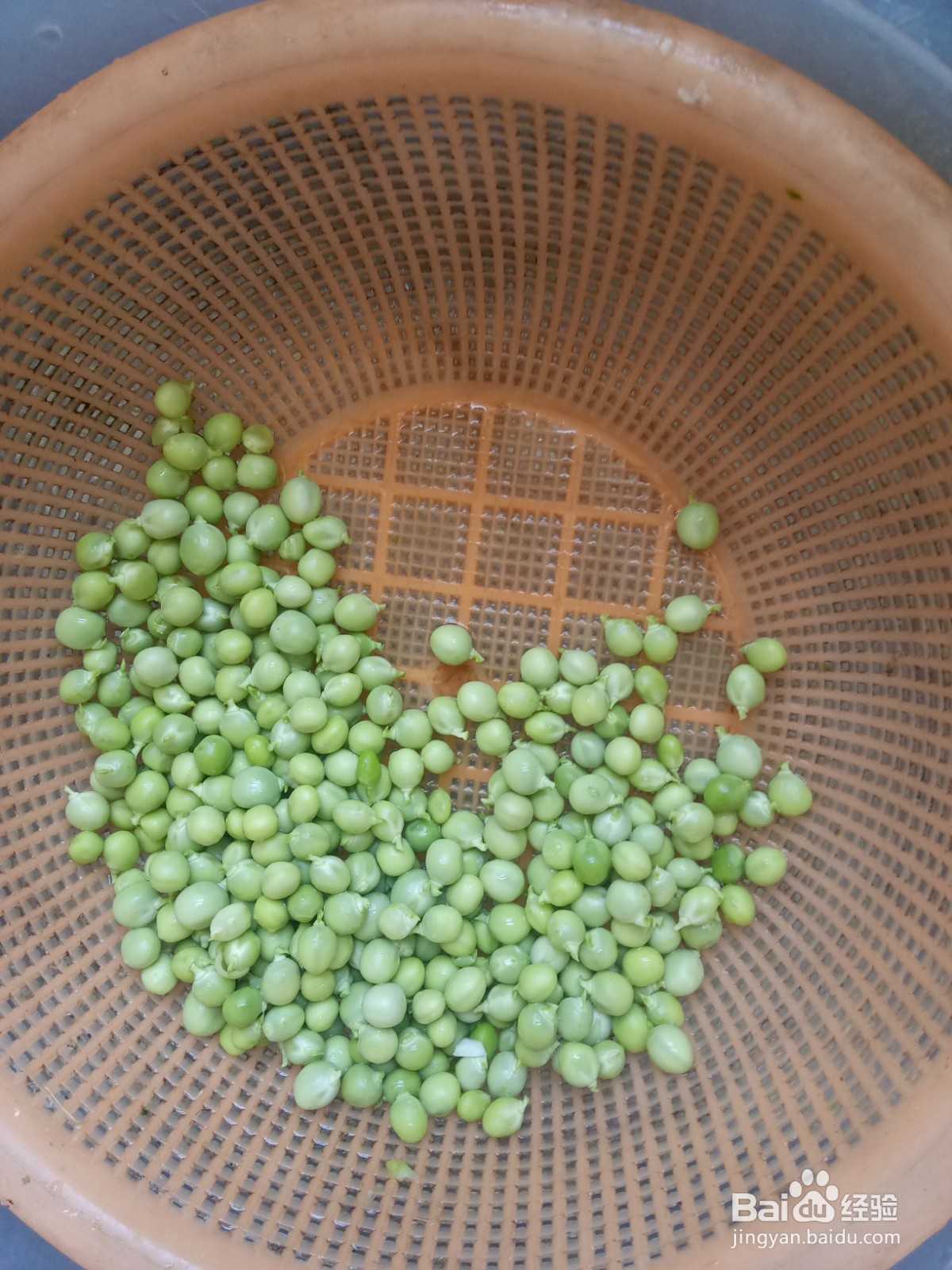 豌豆杏鲍菇火腿肠炒饭