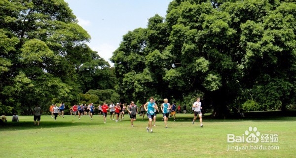 跑步锻炼需要多变换场景