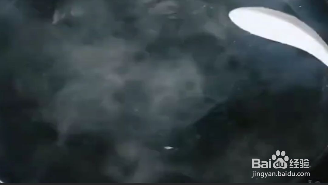 教你一个煮饺子小技巧