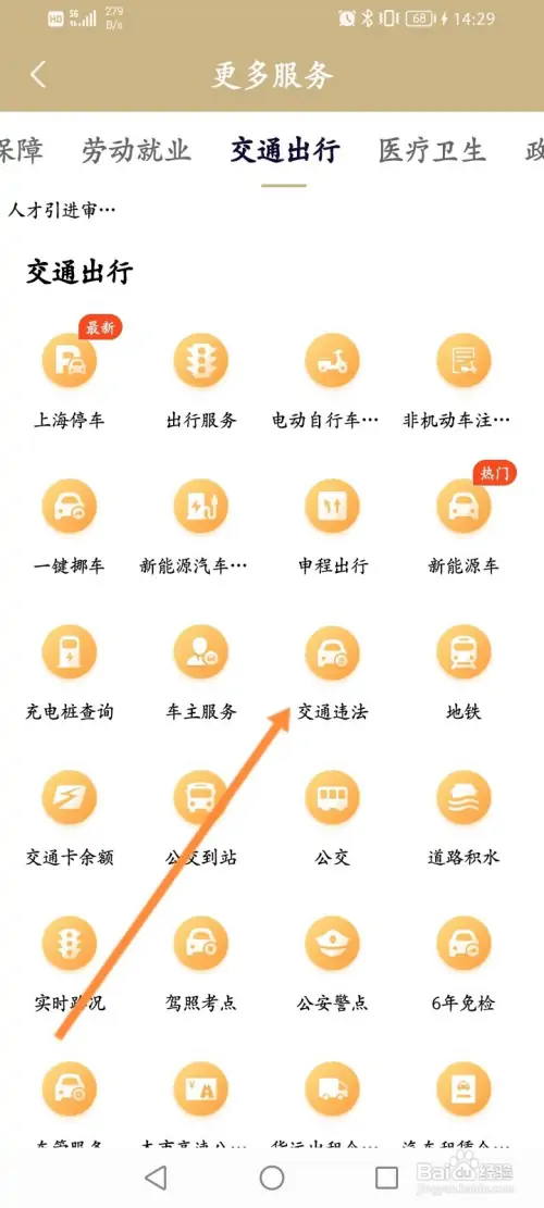 怎样查询机动车信息