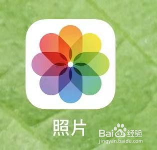 苹果12中如何对图片做标记?