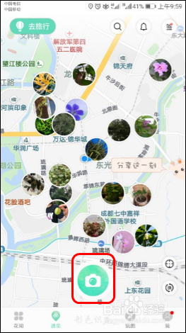 使用识花APP【形色】识别各种植物、花草、果蔬