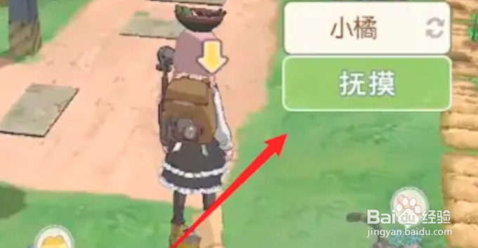 小森生活猫咪好感度提升攻略