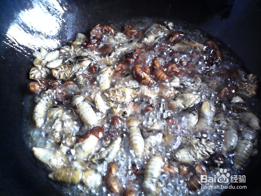 农家小院油炸知了猴美味可口