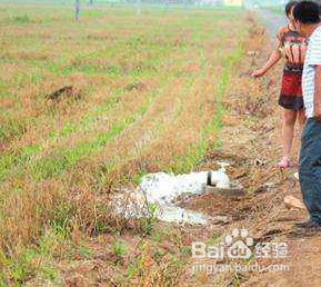 磷酸二氢钾的使用方法