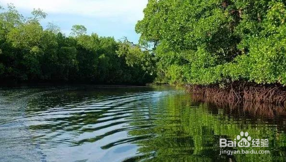 仙本那旅游攻略