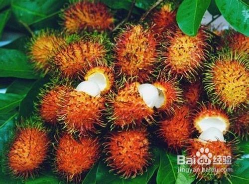 突发性耳鸣怎么根治？