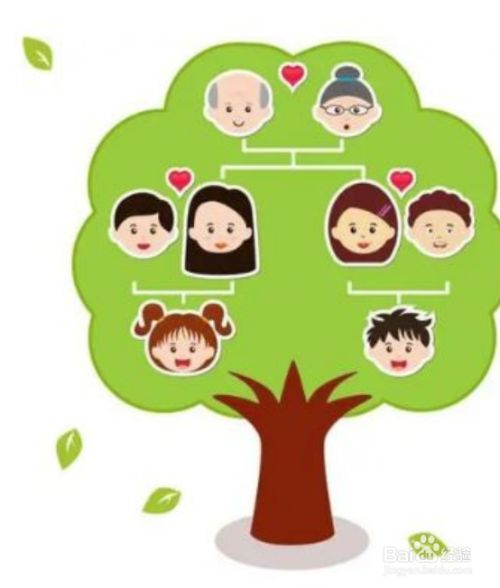 家庭关系怎么描述