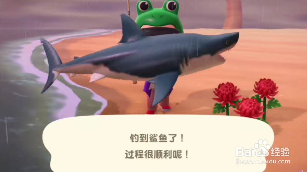动森钓鲨鱼攻略