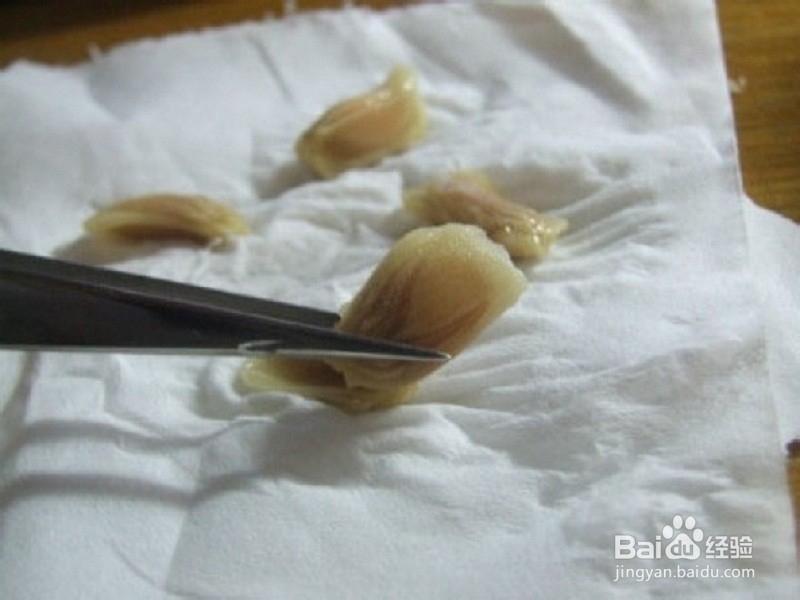 柚子盆栽怎么做