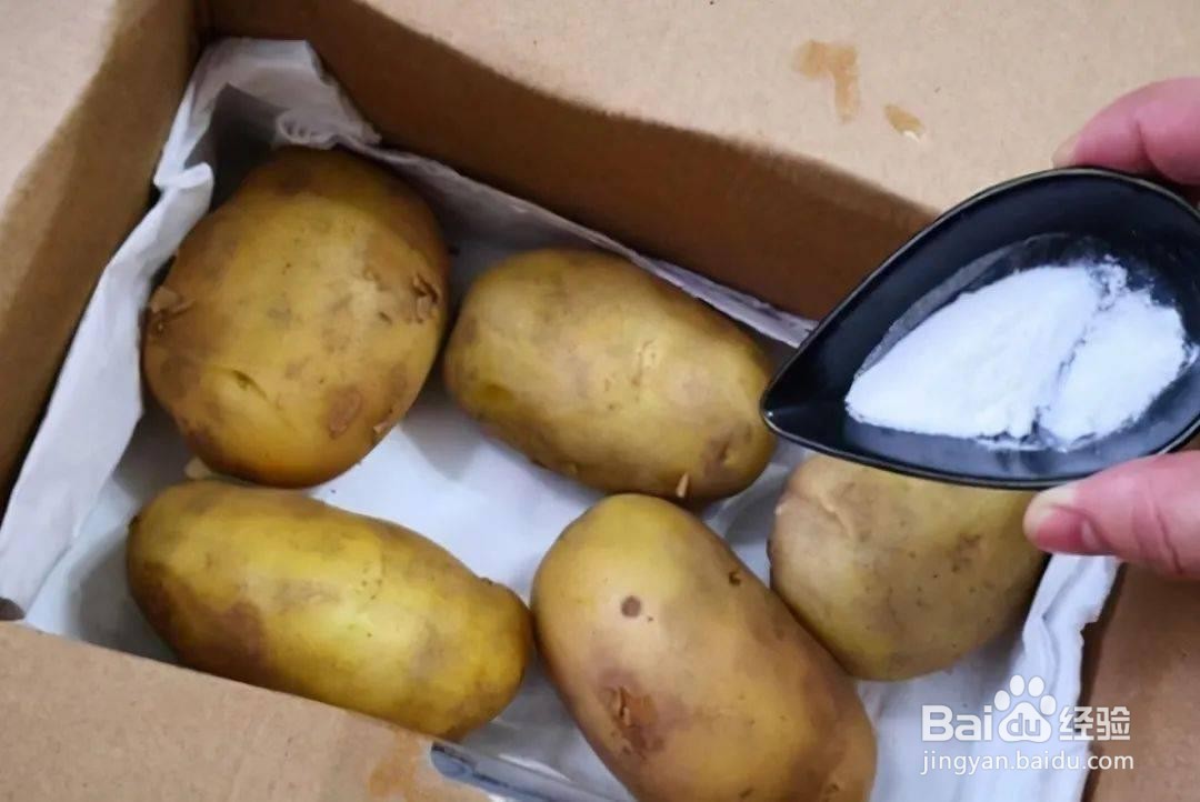 土豆如何保存时间更长