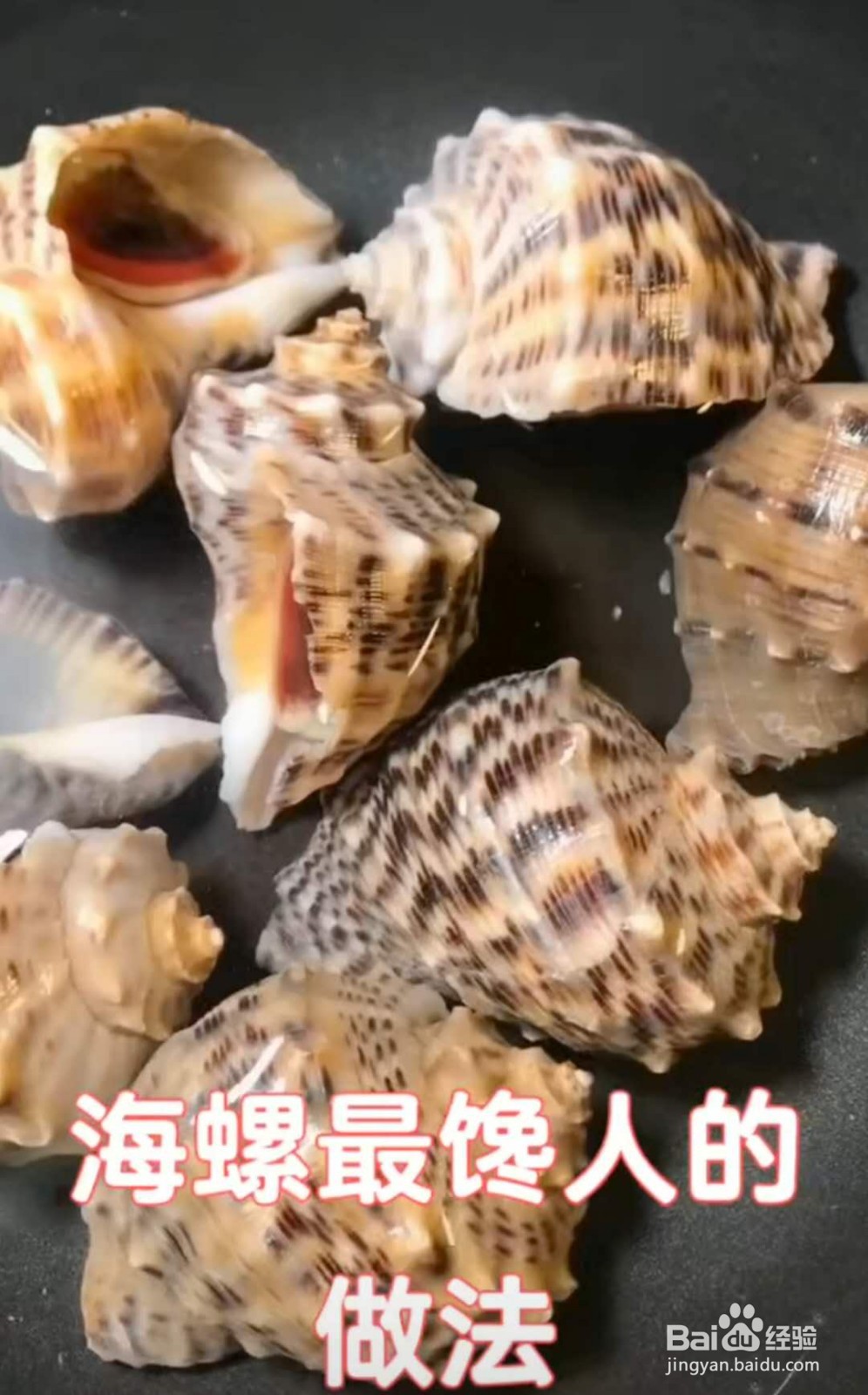 海螺的做法蒸多长时间