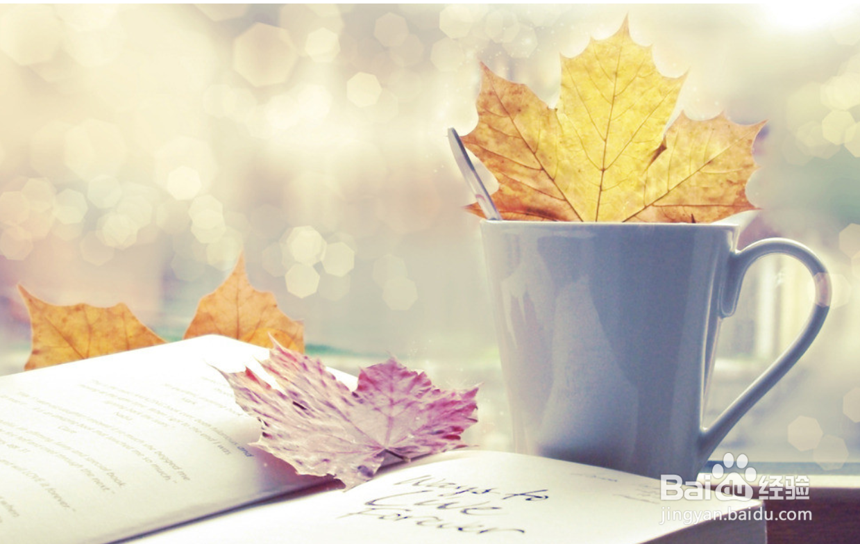 如何选择并读好一本好书