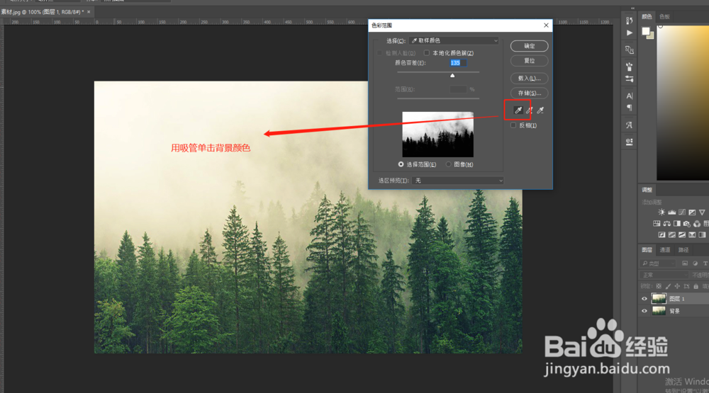 PS中怎么将松树林抠图抠出来
