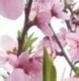 家有主妇妙招无穷50