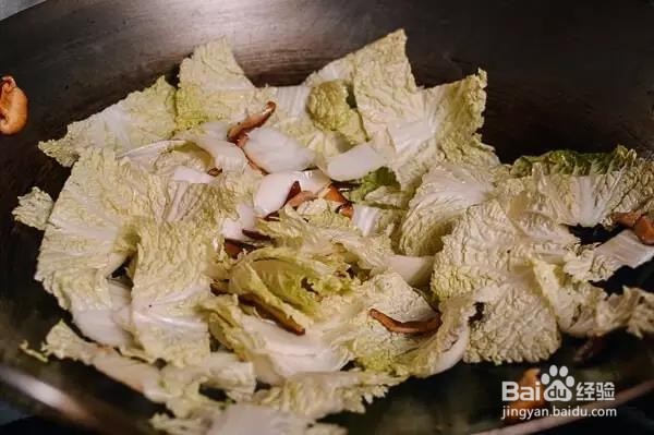 家常白菜炖粉条