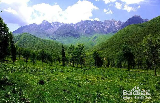 去青海玩,不能错过这些美景!
