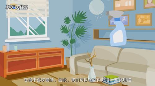 灭苍蝇的家庭小妙招有哪些