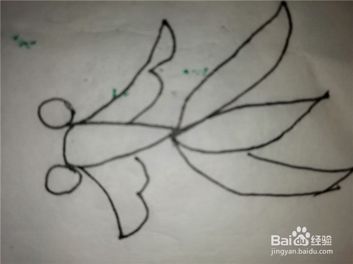 怎么样用简笔画画小金鱼