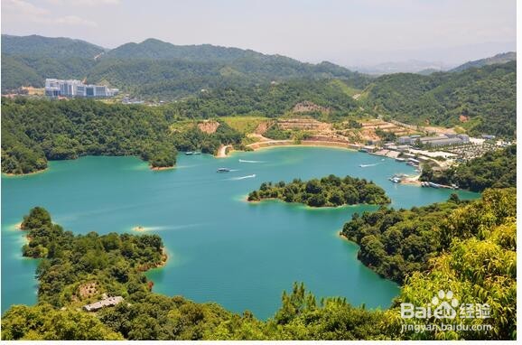 2017年过年怎么玩