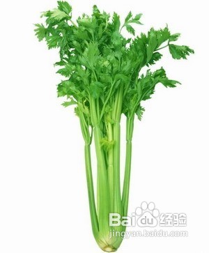 怎样利用普通植物美白祛斑