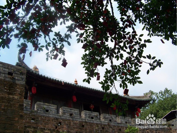 两天一日较场尾游攻略