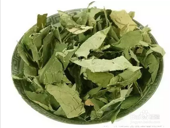 荷叶泡水喝的益处，健体护身