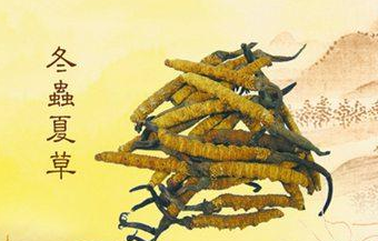 冬虫夏草回收价格高低的区别
