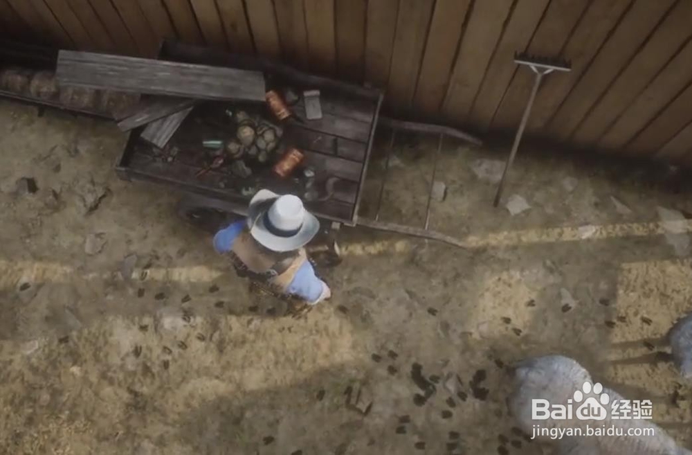 荒野大镖客2 松鼠标本位置一门艺术奖杯获得方法