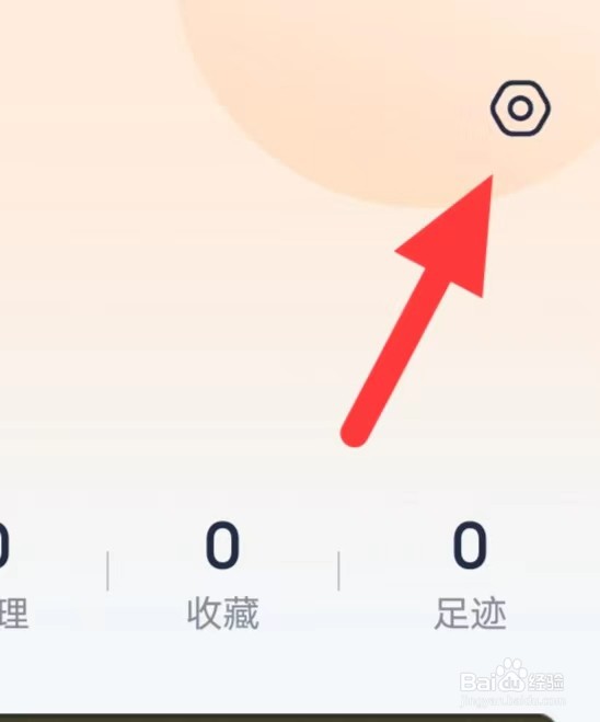去狮城如何查看隐私设置