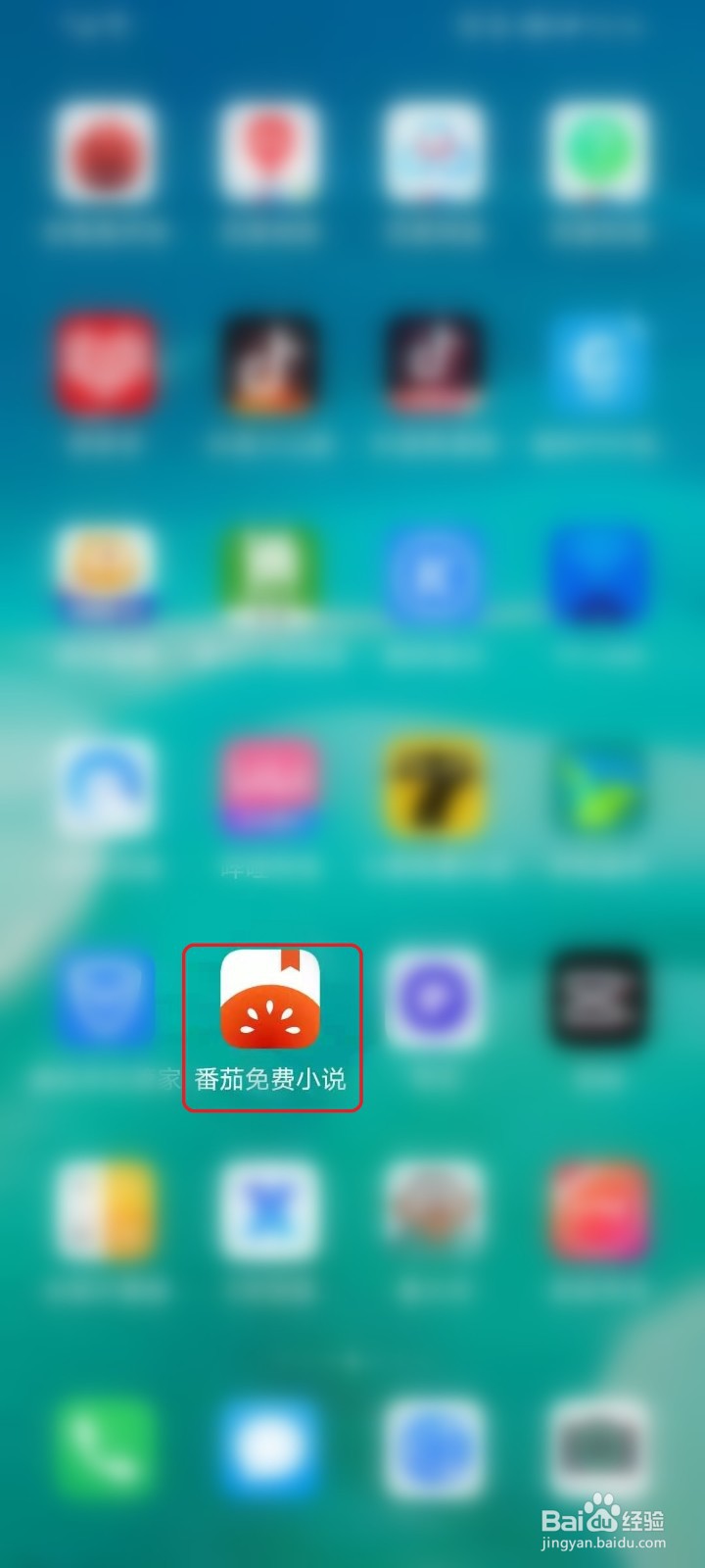 番茄免费小说怎么清理缓存