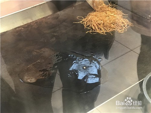 米粉炒饭的做法