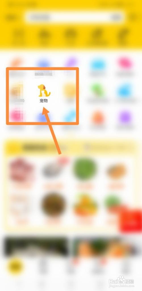 小狗狗被撞死了怎么办