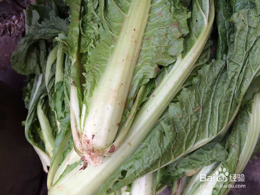 家常白菜丝瓜火锅的做法