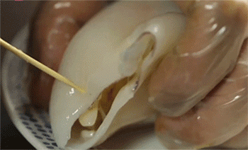 养生家常菜:酿鱿鱼筒做法