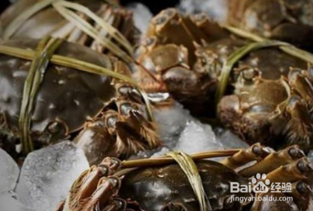 大闸蟹怎么保存