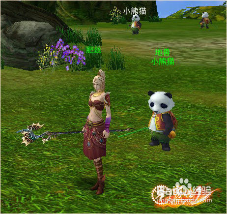 《密传2》教你三步养出极品宠