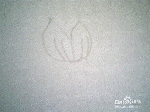 简笔画荷花的画法：