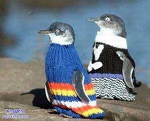 秋季容易会有哪些季节病?