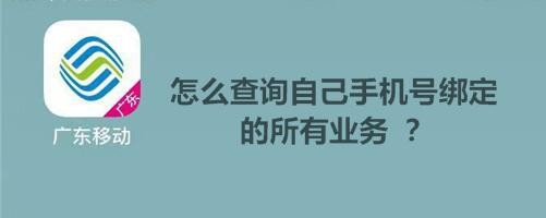 怎么查询自己手机号绑定的所有业务